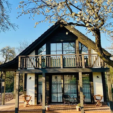 住宿加早餐酒店 Greta Świerzawa
