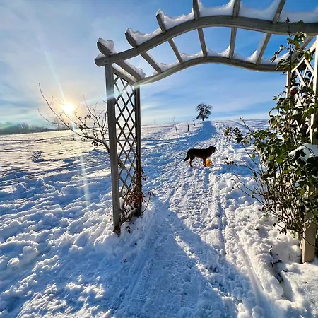 Oda ve Kahvaltı Greta 4*