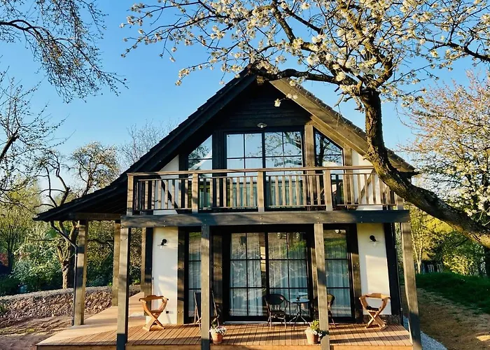 Bed & Breakfast Greta Świerzawa