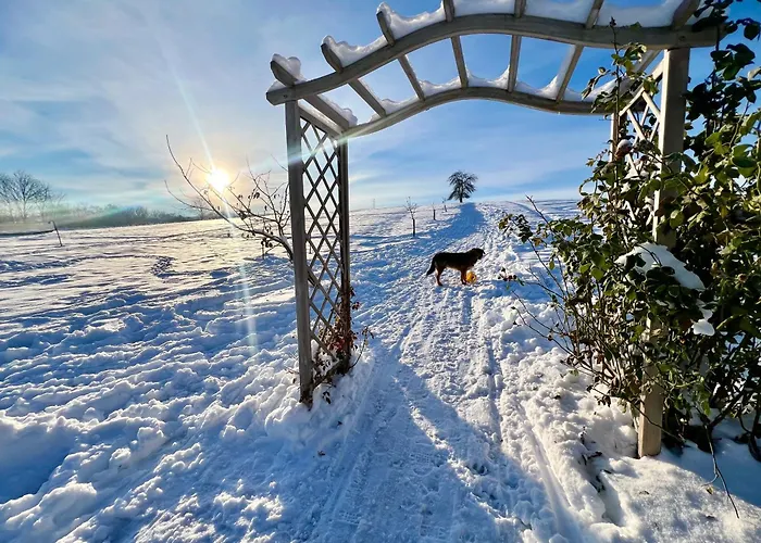 Nocleg ze śniadaniem Greta 4*