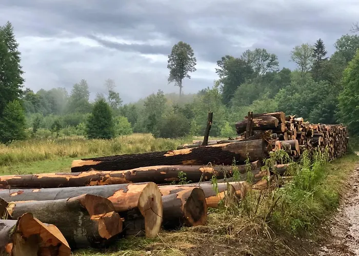 Frühstückspension Greta Schönau an der Katzbach