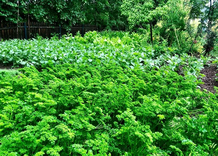 Greta Nocleg ze śniadaniem